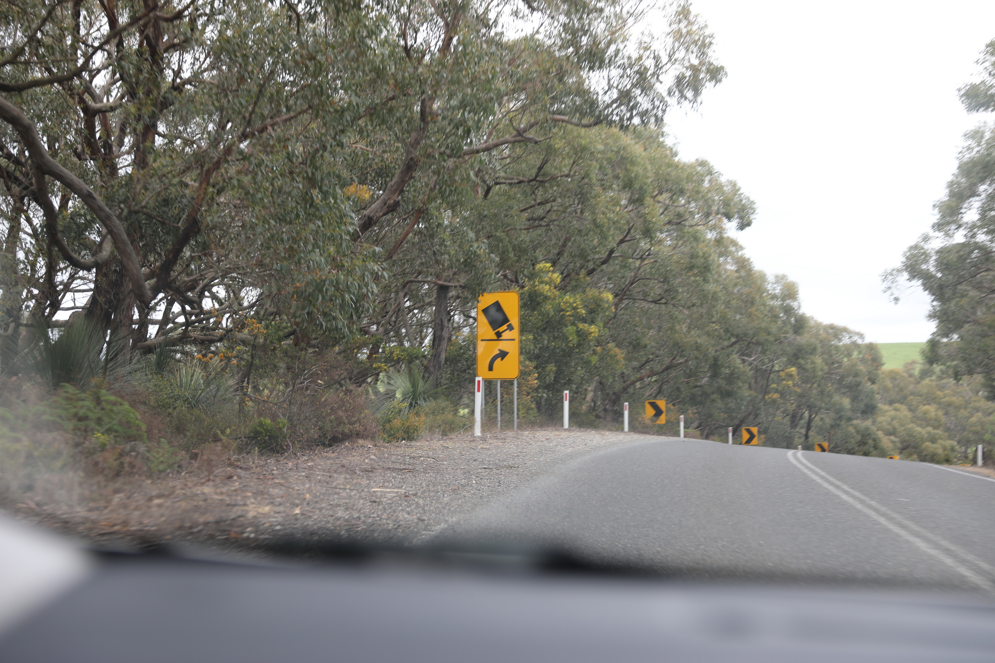 2019 09 29 07 44 26 Canon EOS 5D Mark IV 0003